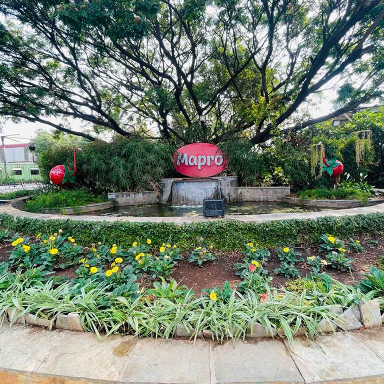 Mapro Garden Panchgani, Mahabaleshwar